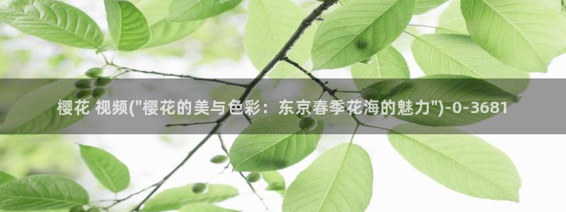 樱花动漫观看高清：樱花 视频(\