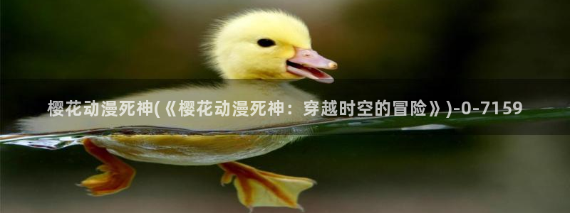 樱花动漫全集：樱花动漫死神(《樱花动漫死神：穿越时空的冒险》)