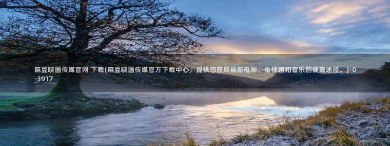 麻豆视频文章描述