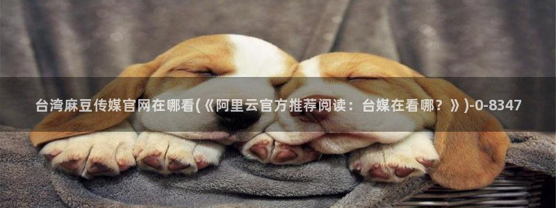 麻豆资讯描述
