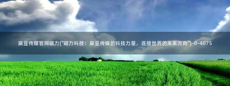 麻豆视频资讯文案