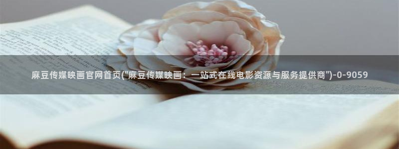 麻豆精选描述
