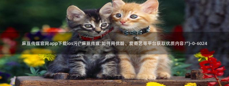 麻豆影视站