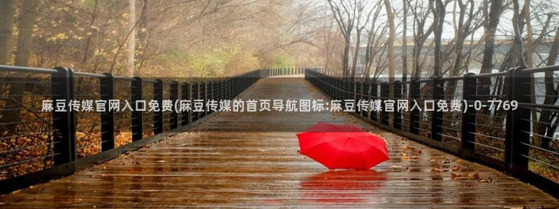 麻豆视频优质内容