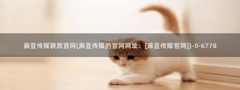 麻豆视频文章描述