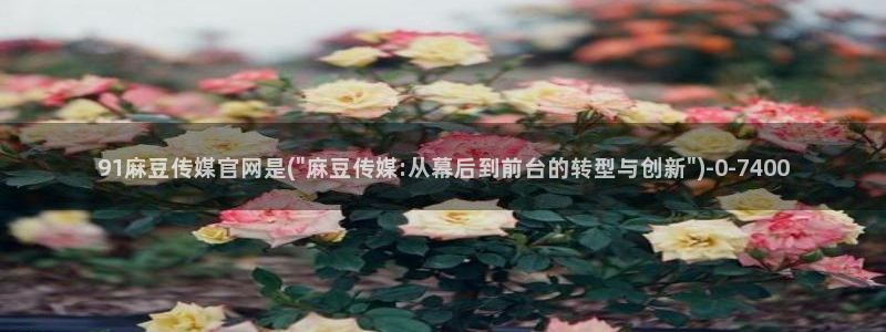 麻豆资料页
