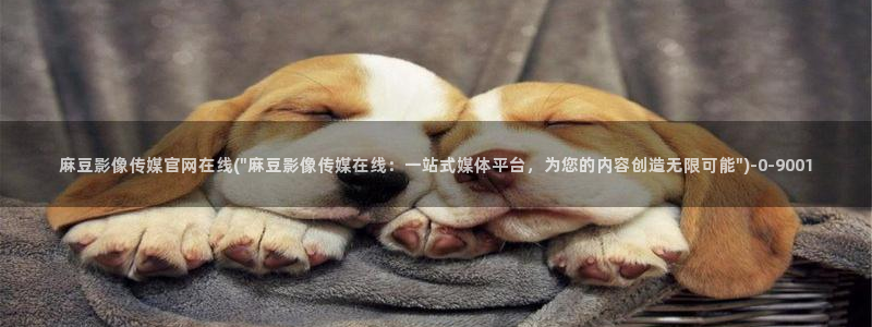 麻豆视频百度优化