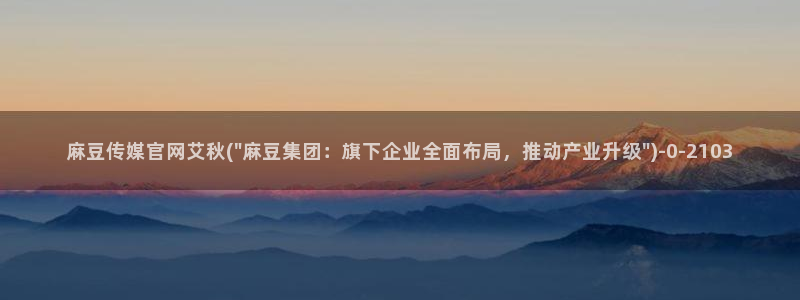 麻豆视频标签