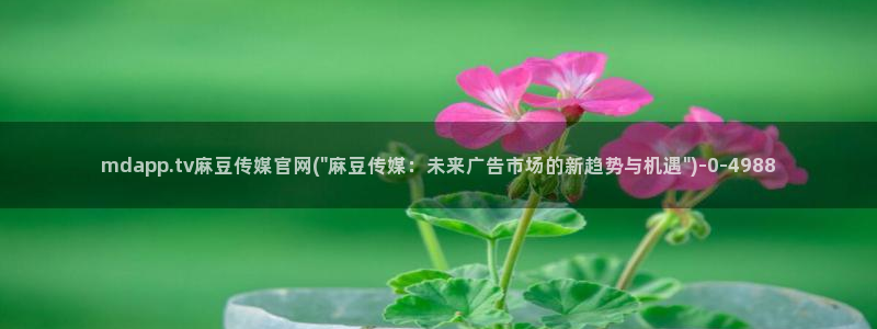 麻豆视频站