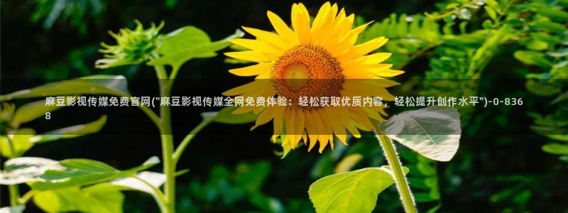 麻豆描述库