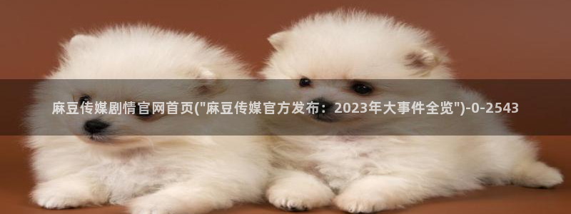麻豆视频标签规划