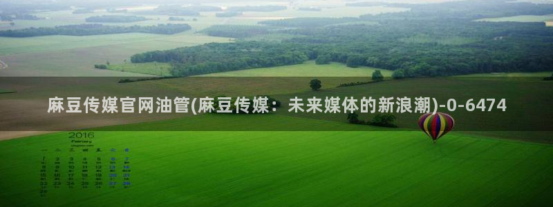 麻豆精选描述