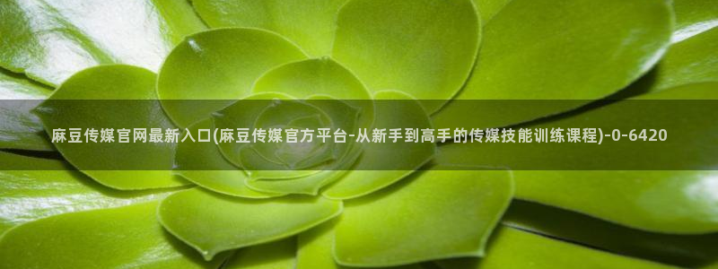 麻豆精品视频