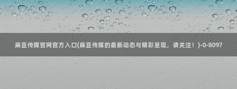 麻豆视频标签规划