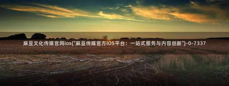麻豆视频列表文案