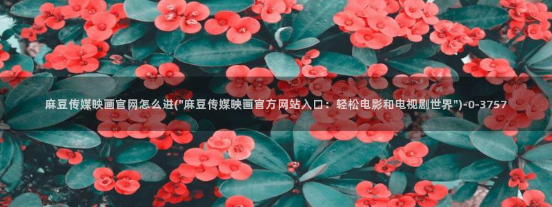 麻豆视频站内文案