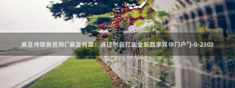 麻豆视频SEO词库