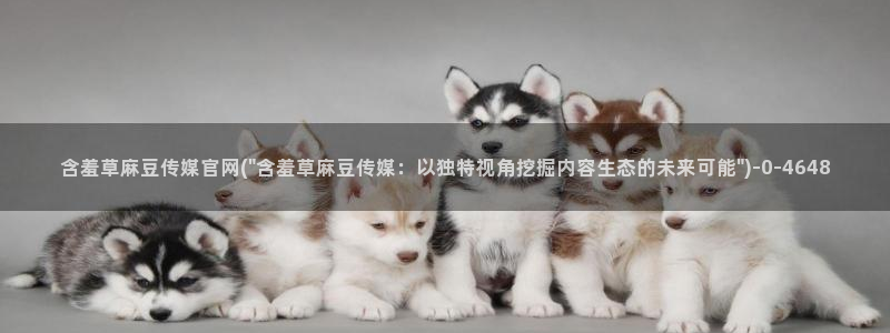 麻豆视频更新列表