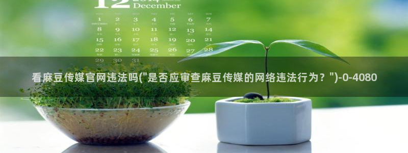 麻豆视频收藏