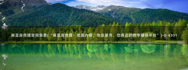 麻豆资讯描述