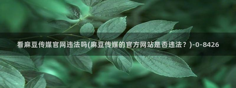麻豆视频下载