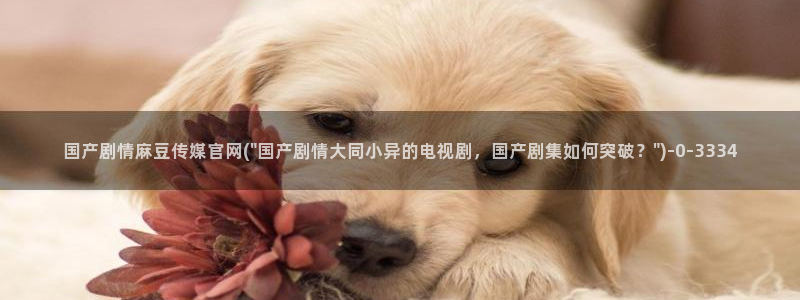 麻豆观看指南