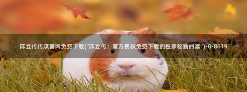 麻豆视频标题规则