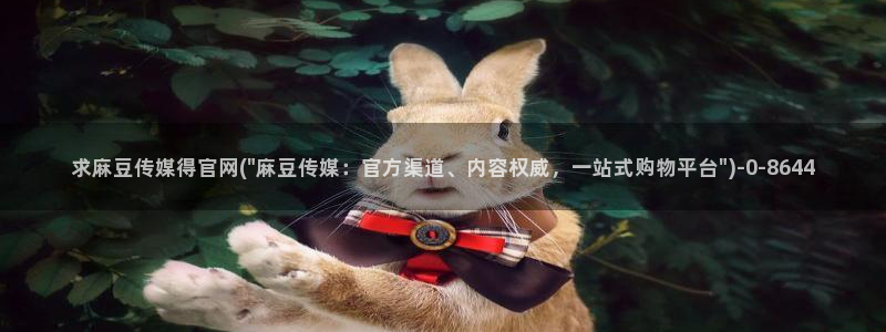 麻豆传媒在线观看：求麻豆传媒得官网(\